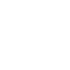 Sinfin_Logo(White)