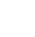 Sinfin_Logo(White)